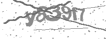 visual captcha